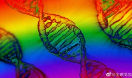 “同性恋基因”研究报告引发热议，也引起一些误解