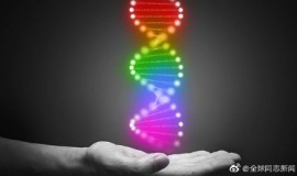 一项大型研究的结果：与同性恋有关的基因可能有很多，性倾向不是“连续的一个量表”