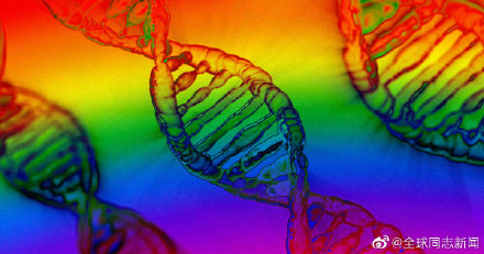 “同性恋基因”研究报告引发热议，也引起一些误解